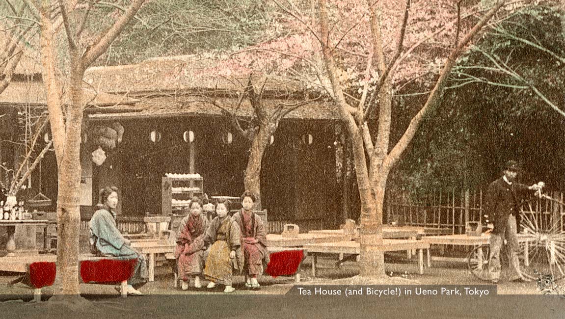 MIT Visualizing Cultures