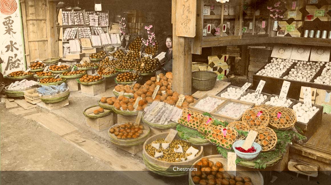 MIT Visualizing Cultures