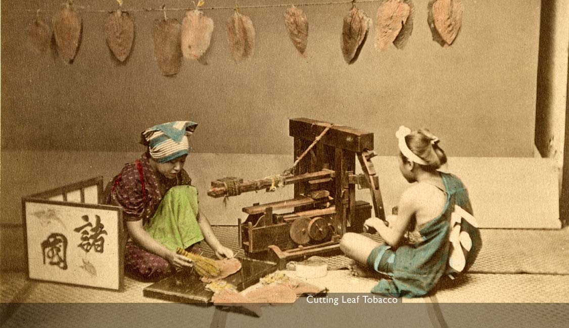 MIT Visualizing Cultures