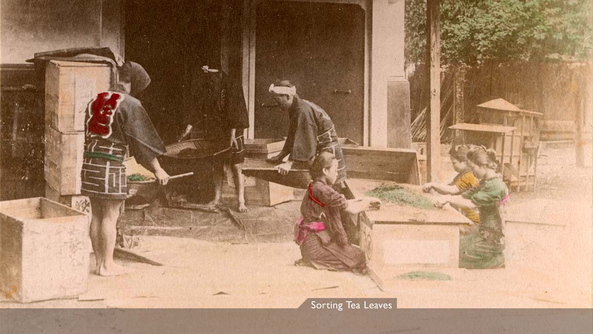 MIT Visualizing Cultures