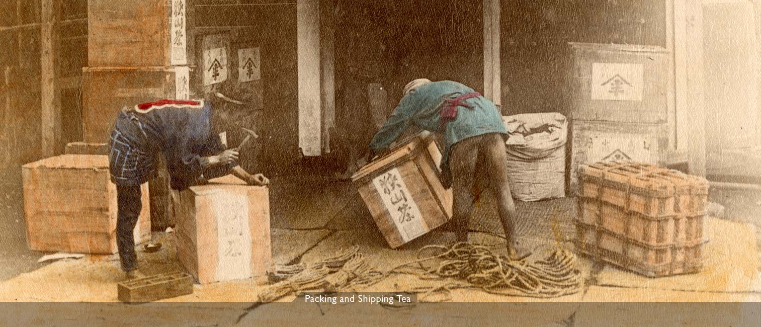 MIT Visualizing Cultures