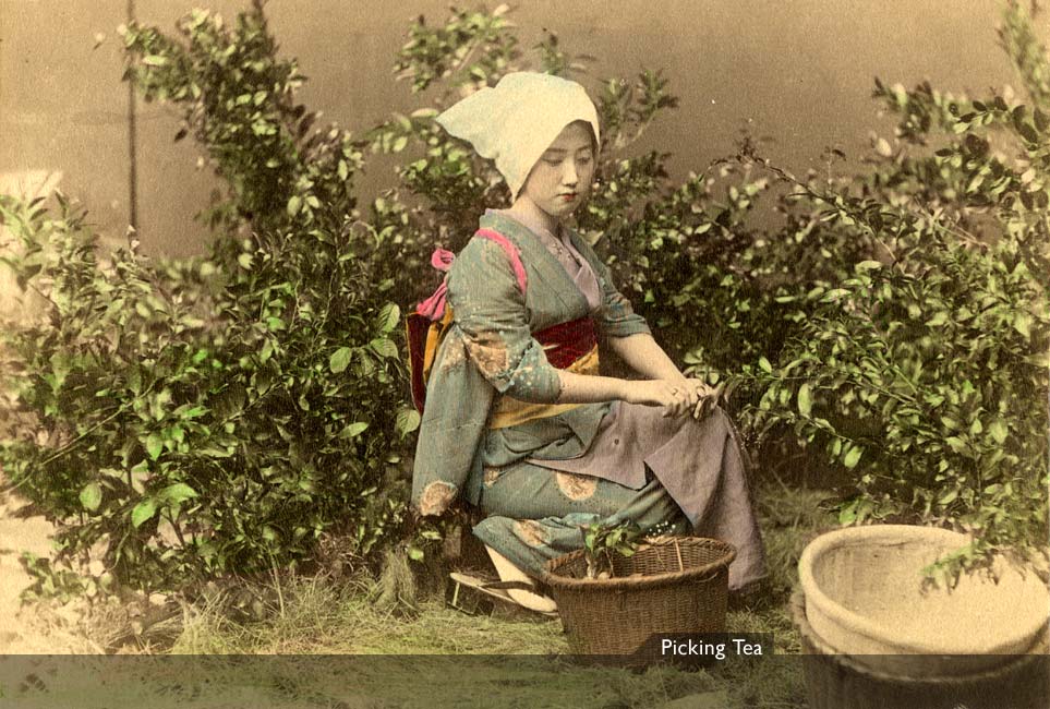 MIT Visualizing Cultures