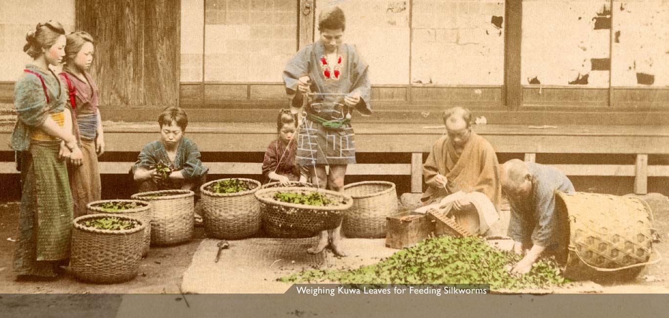 MIT Visualizing Cultures