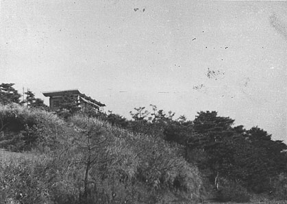 I took this picture with my Olympus camera.