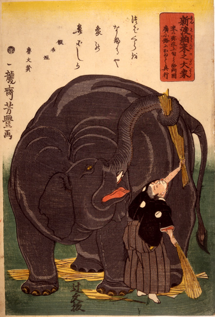 “Recently Imported Large Elephant” by Yoshitoyo, 1863 [Y0155]  Arthur M. Sackler Gallery, Smithsonian Institution